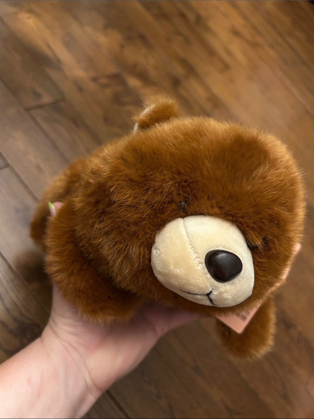NWT - Plush Brown Teddy Bear Stuffed Animal